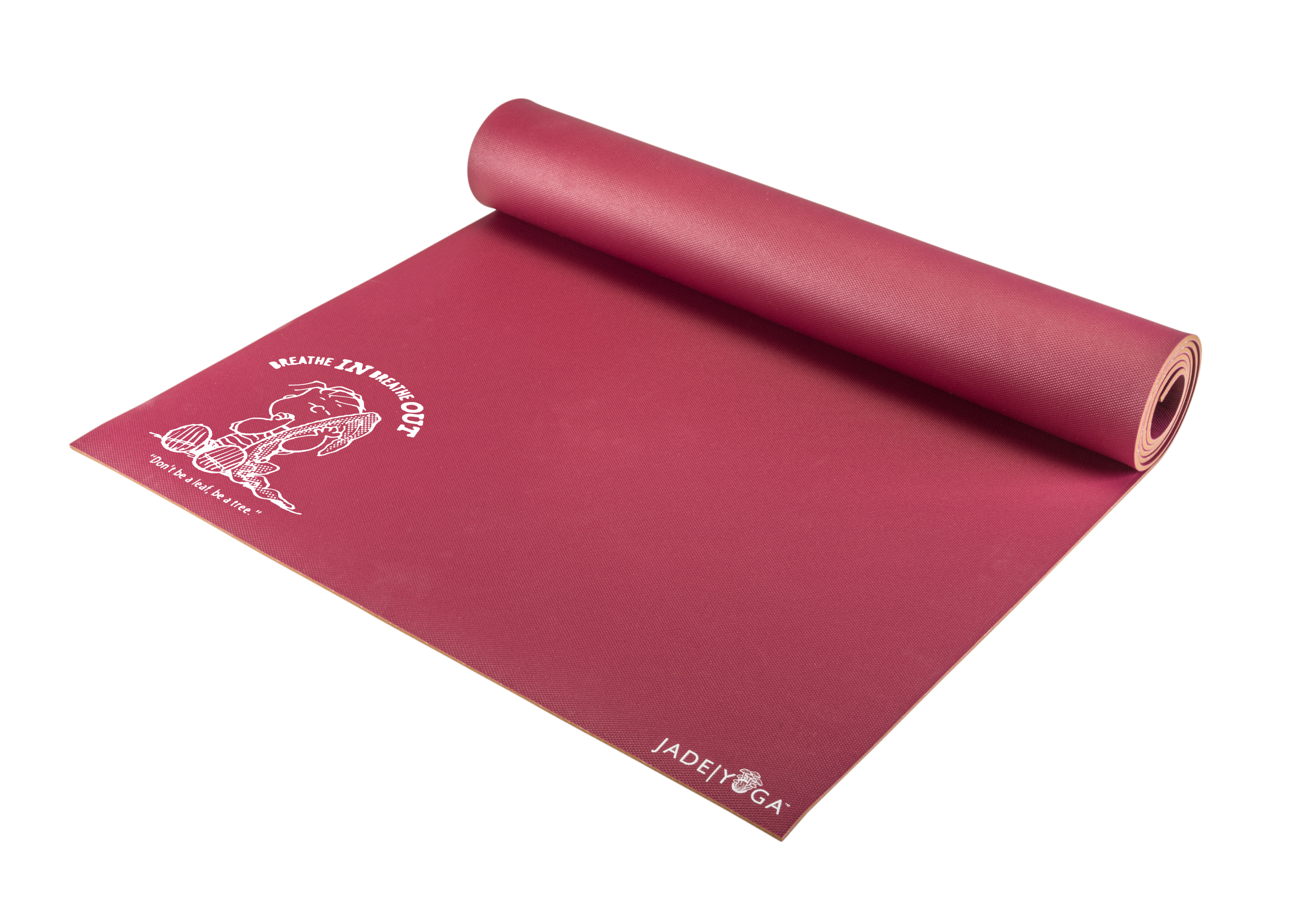 LinusRaspberryYogaMatMockup_5addb321-e78b-4ba0-a318-7a939c0ce5a9.png